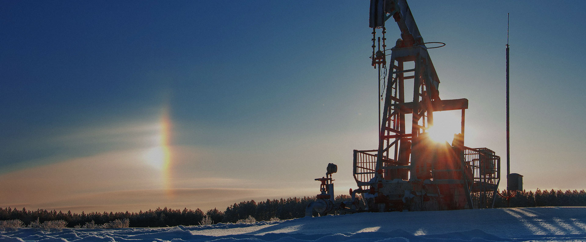 Petrokjemisk industri